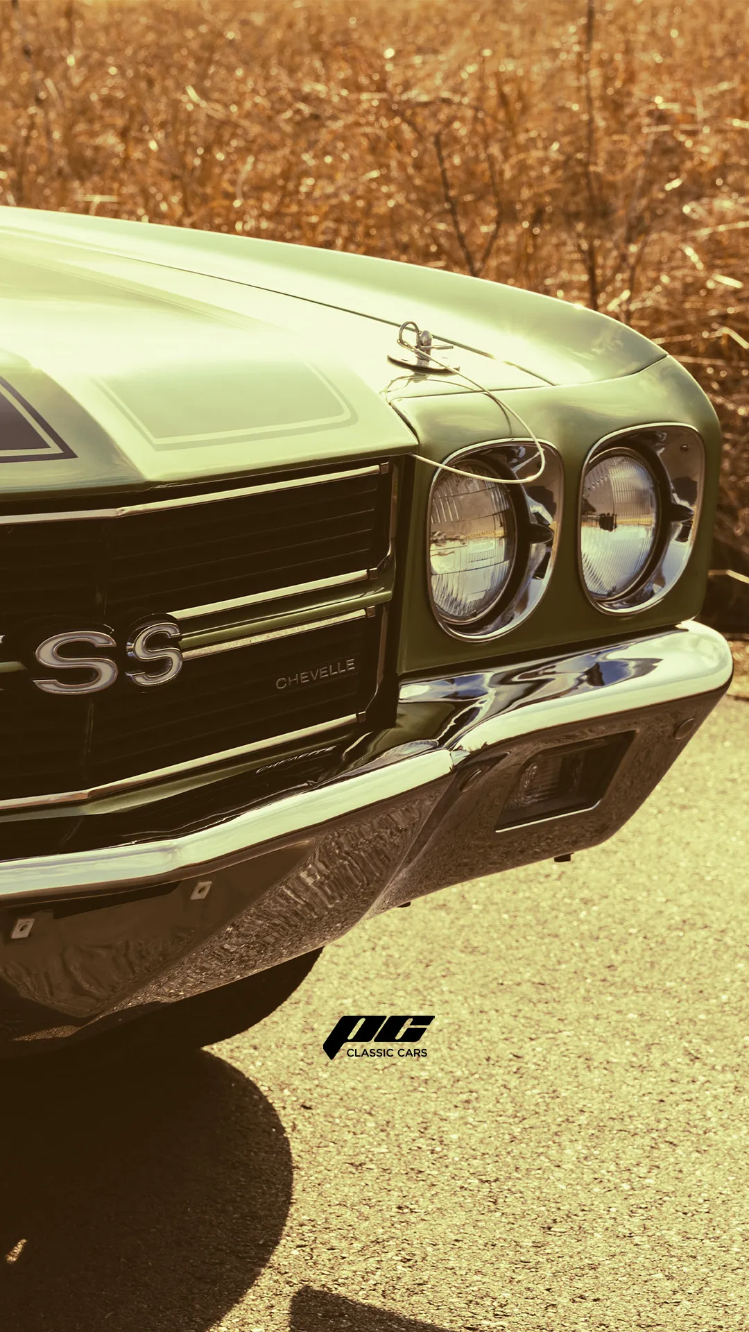 1970 Chevrolet Chevelle Test Drive Short